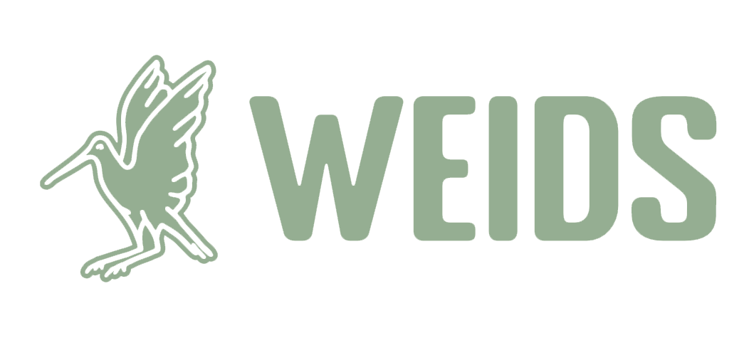 Weids Bolsward
